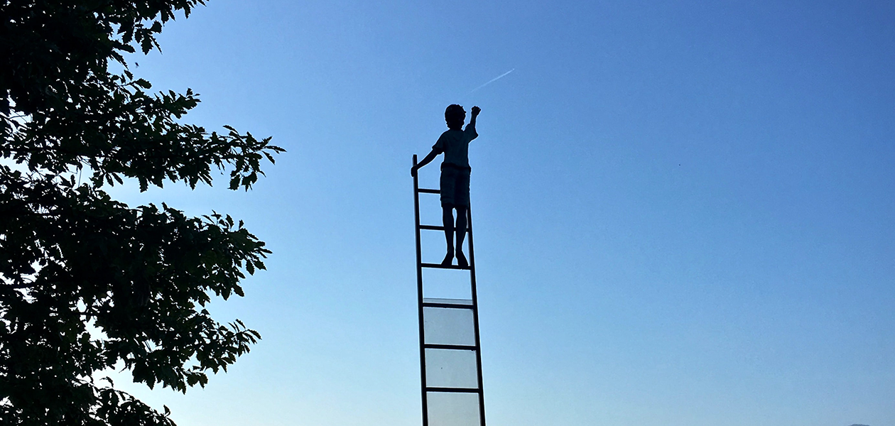 cantril_ladder　カントリルのはしご